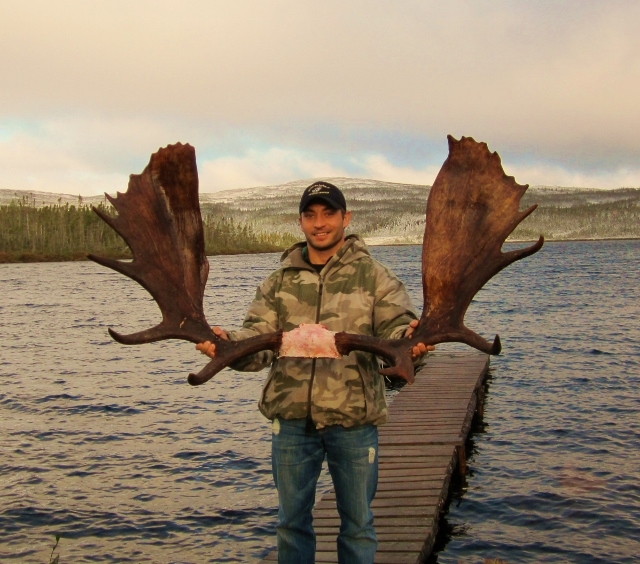 Moose